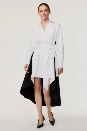 Ariella Pleated Dress