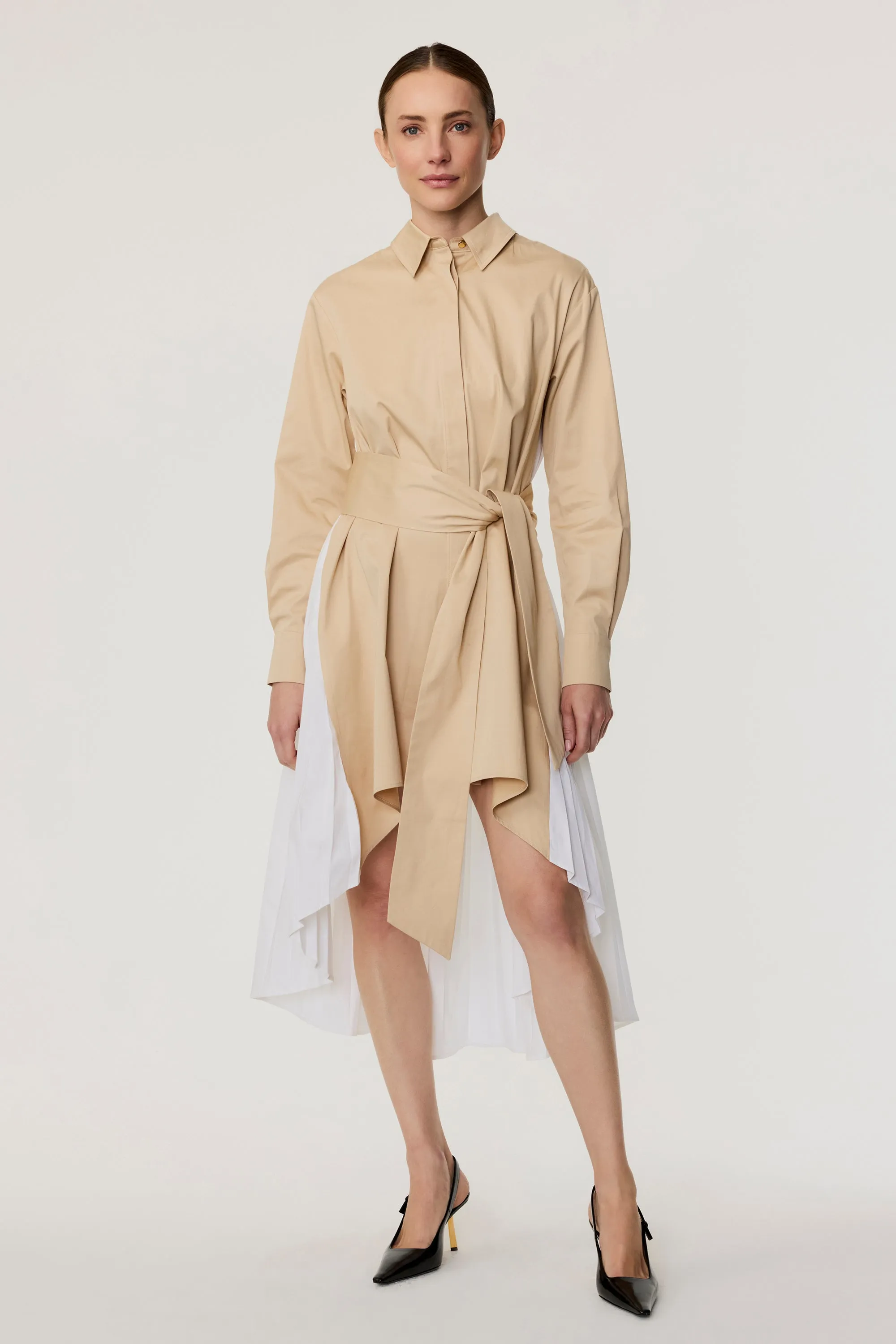 Ariella Pleated Dress