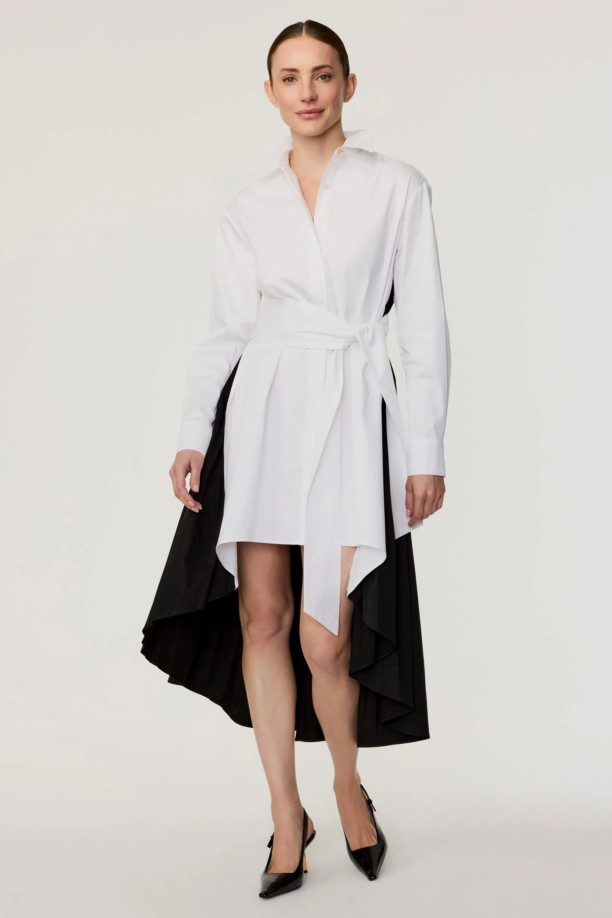 Ariella Pleated Dress