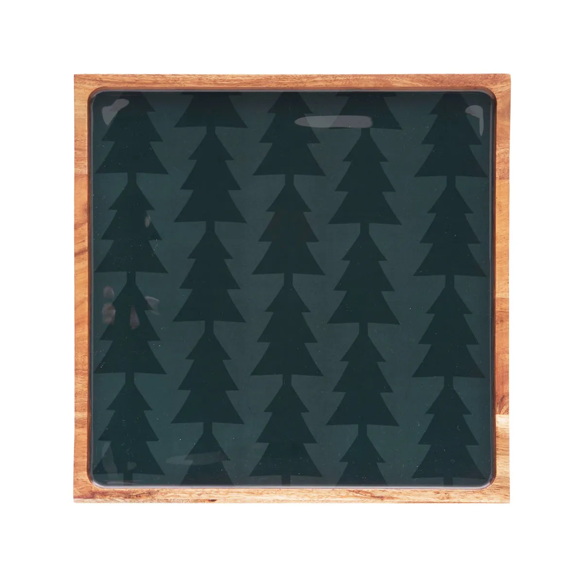 Evergreen Trees Acacia Server