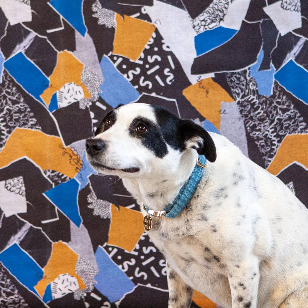 Jumbo Cord Dog Collar - Sky